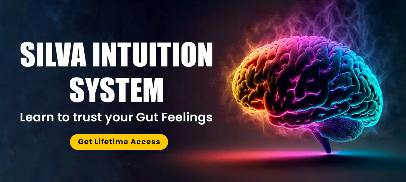 Silva Intution System