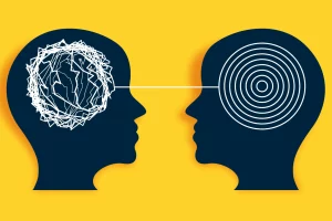 201338013_d9f55de2-a3c2-4a20-a536-a4e0380d21a3 (1) (1) 201338013_d9f55de2-a3c2-4a20-a536-a4e0380d21a3 (1) (1)